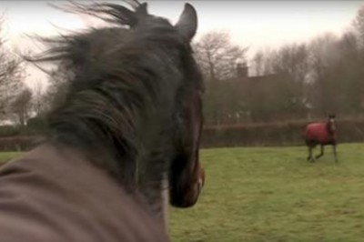 Nie widziały się latami ale pamiętają! Trzy konie spotykają się po długiej rozłące i witają jak najlepsi przyjaciele!