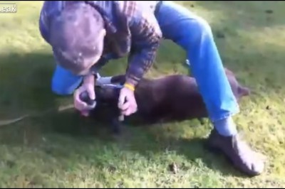 Niesamowite! Mężczyzna ratuje życie psa robiąc mu masaż serca i sztuczne oddychanie!