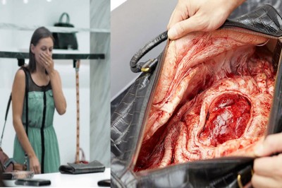 Obrońcy zwierząt chyba przegięli! Reklama która szokuje i przeraża wszystkich klientów!