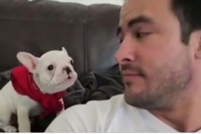 Odwrócił się do swojego psa i powiedział mu, że jest przytojny! Reakcja zwierzaka jest przesłodka!