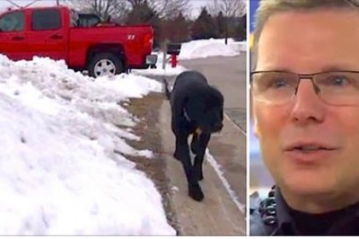 Policjant widzi wielkiego psa idącego samotnie ulicą! Gdy rozgląda się za właścicielem dostrzega coś złego!