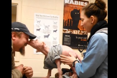 Ratuje życie bitego psa w ostatniej chwili! To jak zwierze dziękuje swojemu wybawcy chwyta za serce! 