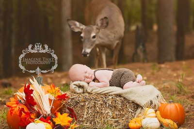 Rodzice ułożyli Go do sesji zdjęciowej! Wtedy pojawiła się Ona i sesja stała się magiczna!  