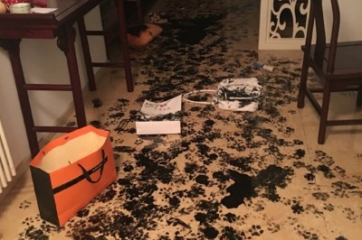 Rodzina wyszła na niedzielny spacer! Gdy wrócili do domu zastali coś takiego! Poznaj sprawcę!