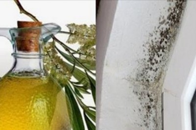 Rozpyl ten olej na ścianach gdzie jest grzyb a już nigdy więcej nie ujrzysz tam pleśni! Idealny rezultat!