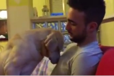 Skruszony pies przeprasza swojego właściciela! Zobacz niezwykły sposób w jaki prosi o wybaczenie! 