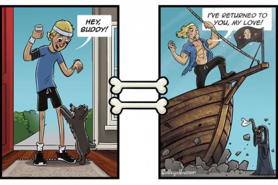 Te 7 ilustracji pozwoli poznać Ci twojego pupila! Zobacz jak wygląda świat oczami Twojego psa! 