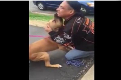 Te nagranie wzruszy dosłownie każdego! Pies odnajduje swojego właściciela po 2 latach rozłąki!