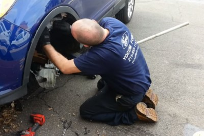 Tego mechanik nie przewidział! Nietypowi mieszkańcy samochodowego nadkola!