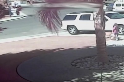 Ten kot uratował małe dziecko zaatakowane przez... psa! Szok!