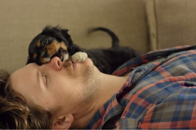 Ten szczeniak został adoptowany! Co stało się gdy znalazł się w domu rozbawi Cię do łez! 