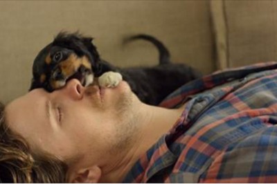 Ten szczeniak został adoptowany! Jego reakcja gdy poznał swój nowy dom rozbawi Cię do łez! 