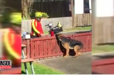 Ukryta kamera nagrała jak listonosz robi coś zaskakującego z 