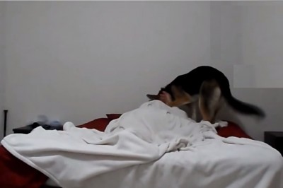 W końcu odkryto sposób na problemem z wczesnym wstawaniem? Rewelacyjna naturalna medota!