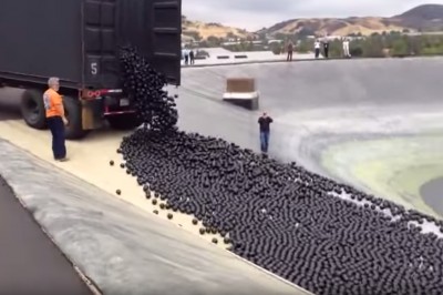 Wrzucili do wody 96 milionów czarnych kul. Nie uwierzysz  po co to robią!