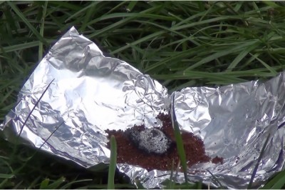 Wysypał kawę na folie aluminiowa i podpalił w ogrodzie! Będziesz zaskoczona jaki uzyskał efekt! 