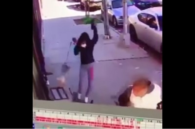 Wściekły kot zaatakował kobietę spacerującą z psem! Jej reakcja to szczyt paniki i nieodpowiedzialności! 