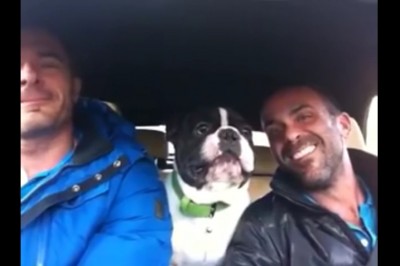 Zaczęli śpiewać swoją ulubioną piosenkę! Zobaczcie niesamowitą reakcję ich psa!