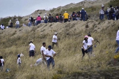 Zasadzili 650 tysięcy drzew w jeden dzień! Heroiczna walka o naszą planetę!