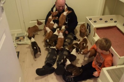 Zastanawiałaś się kiedyś jak to jest żyć z 16 szczeniakami ? (Spoiler alert - niesamowicie słodko)