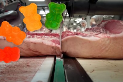 Zobacz jak powstają słodkie żelowe misie! Po tym filmie nie będziesz chciała wziąć ich więcej do ust! 