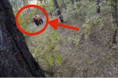 Zobacz rowerzystę ściganego przez niedzwiedzia. Najlepszy motywator do treningu! 