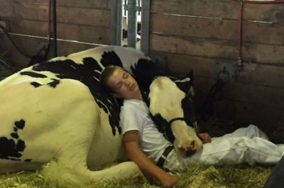 Ojciec wchodzi do stodoły pocieszyć załamanego syna! Nie spodziewał się, że zastanie go w takiej sytuacji!