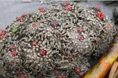 Rozciął ten dziwny kamień na pół! Gdy zaczęła lecieć z niego krew zrozumiał co właśnie odkryli!