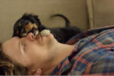 Porzucony szczeniak został adoptowany! Jego reakcja gdy poznał swój nowy dom rozbawi Cię do łez!