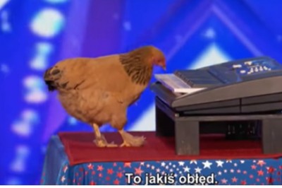 Tego w Mam Talent nie widziałaś! Kurczak Jokgu, który potrafi grać na keybaordzie!