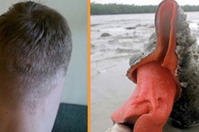 17 pozornie normalnych zdjęć, które sprawią, że rozboli Cię mózg! 10 naprawdę ciężko wyjaśnić!