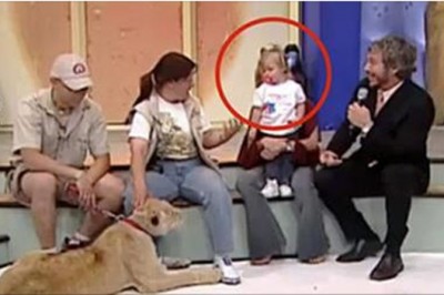 Lew i dziecko występują razem w studiu! Wtedy dzieje się coś co nie miało prawa się zdarzyć!\