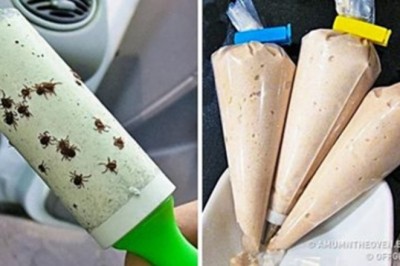 13 pomysłów na nietypowe zastosowanie przedmiotów codziennego użytku! Ułatwi Ci to życie!