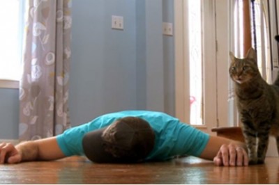 Co zrobi kot kiedy jego właściciel nagle zacznie udawać, że umarł?! 