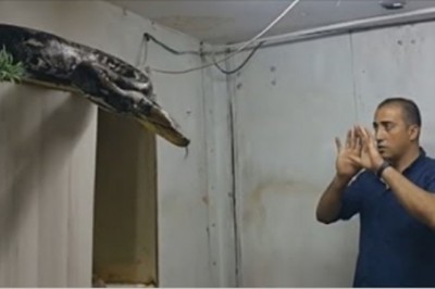 Facet walczy z ogromną Anakondą gołymi rękoma! Ten gość ma jaja ze stali!