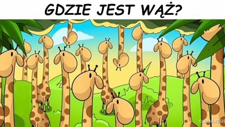 Tylko 15% ludzi jest w stanie rozszyfrować te zagadki w mniej niż 30 sekund!  Wytęż wzrok i sprawdź!