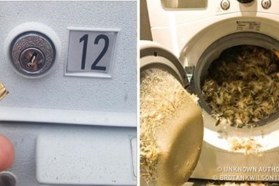 Ci ludzie naprawdę poczuli co to znaczy „mieć pecha”! Jeśli masz gorszy dzień, koniecznie spójrz na te zdjęcia!