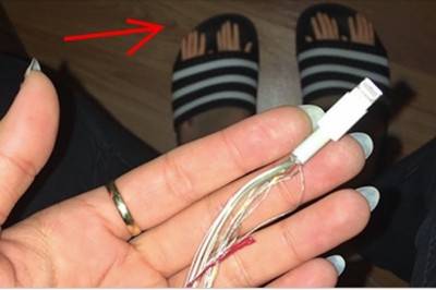 Te zdjęcia z pozoru wyglądają całkowicie zwyczajnie! Jednak musisz przyjrzeć się bliżej! 