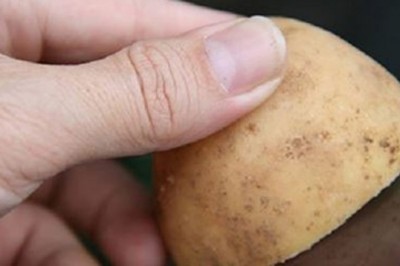 Sztuczka z połówką ziemniaka, którą powinien znać każdy kierowca! Może zaoszczędzić Ci sporo czasu!