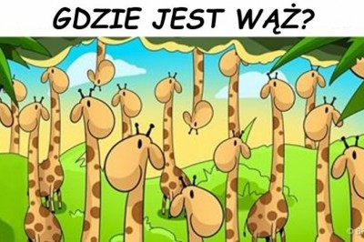 Jedynie 15% ludzi jest w stanie rozszyfrować te zagadki w mniej niż 30 sekund! Wytęż wzrok i sprawdź!