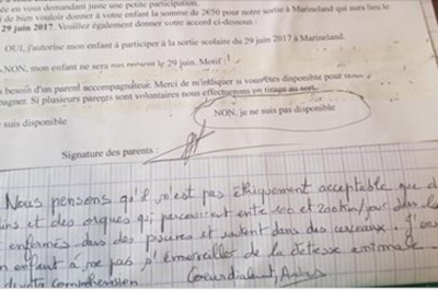 Rodzice zabronili synowi iść z klasą do oceanarium! Wysłali list do szkoły który wszystko wyjaśnia.