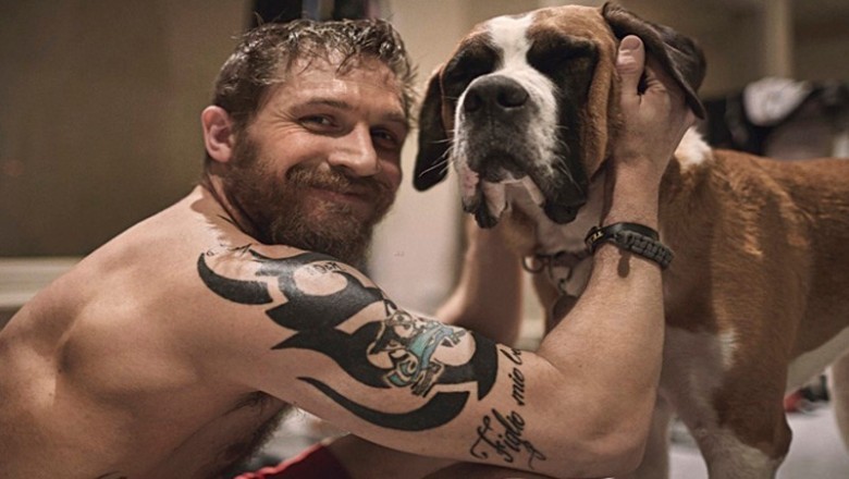 Tom Hardy i jego psiaki! Niezwykłe zdjęcia chwycą Cię za serce i nie dasz rady oderwać wzroku!