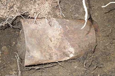 Byli na spacerze z psem kiedy nagle ten znalazł coś pod drzewem! Ta stara puszka uczyniła ich milionerami!