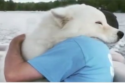 To nagranie ma już niemal 500 milionów wyświetleń! Gdy je obejrzysz, pokochasz zwierzęta jeszcze bardziej! 