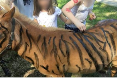 Polski hotel zorganizował nietypowy Dzień Dziecka! Jedną z atrakcji było malowanie kucyków! 