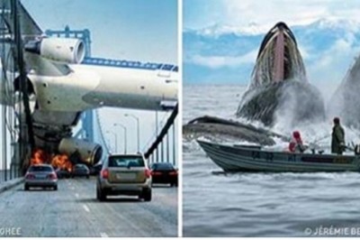 30 zdjęć wykonanych dosłownie w idealnym momencie! Ciężko uwierzyć jak to uchwycili!