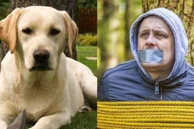 Pies przywiązał właściciela do drzewa i porzucił go w lesie! Sam postanowił wyjechać na wakacje! 