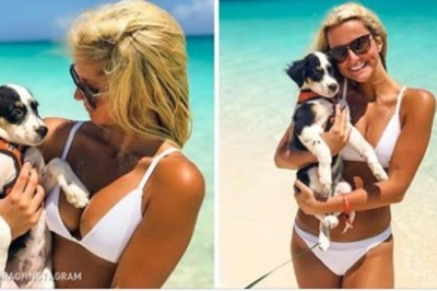 Ta wyspa na Karaibach przypomina raj na ziemi! Zamieszkują ją słodkie szczeniaki które można głaskać cały dzień! 