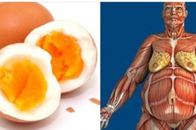 Badania udowadniają jasno! Zobacz co dzieje się w Twoim ciele jeśli jesz tylko dwa jajka dziennie! 