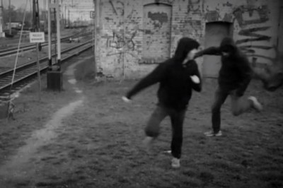 Wypuścili dzikie zwierzęta jadące do ZOO! Fatalna pomyłka złodziei węgla :D